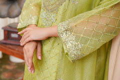 Noor-e-Chashm - Embroided 3 piece