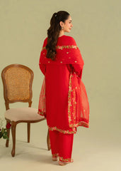 Rosy Charm Embroidered Outfit